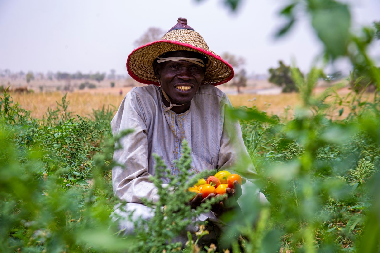 Agriculture